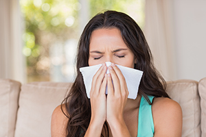 Indoor Allergies